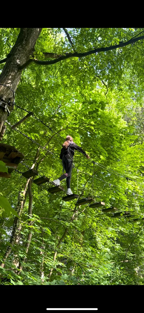 Enfant sur une passerelle suspendue dans les arbres