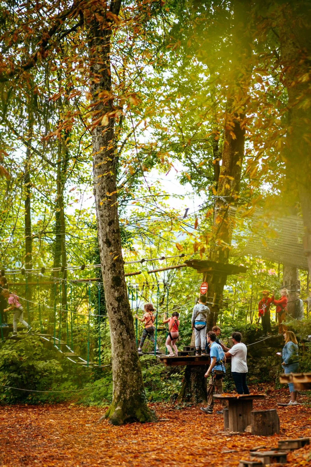Enfants et animateurs sur les parcours dans la forêt aux couleurs d'automne