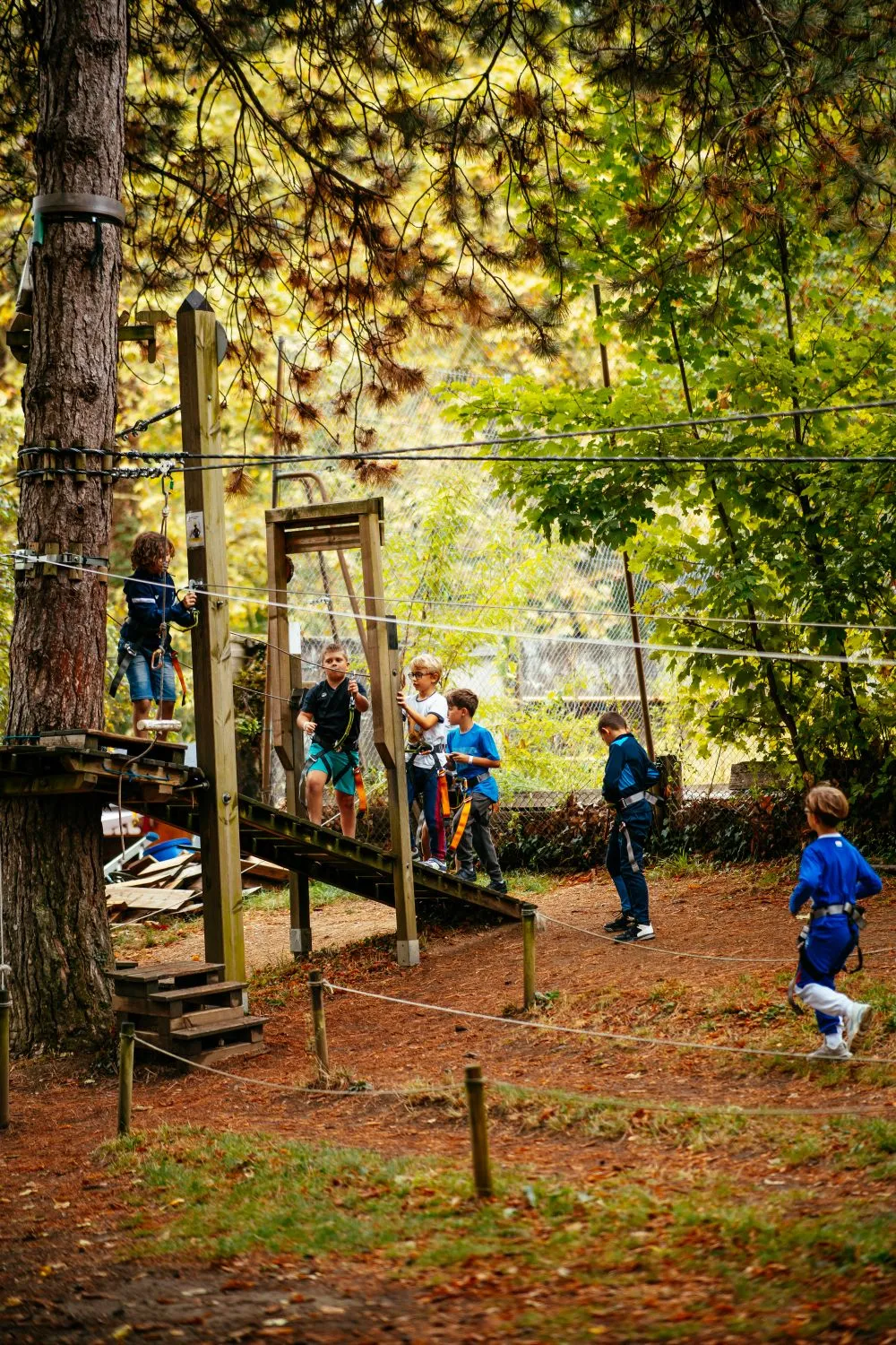 Groupe d'enfants qui se préparent à grimper sur les parcours, dans la forêt