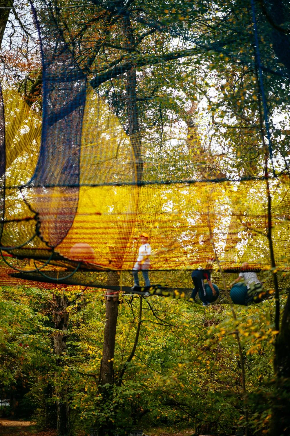 Enfants qui jouent avec des balles sur les filets des TrampoFilets, parmi les arbres d'automne